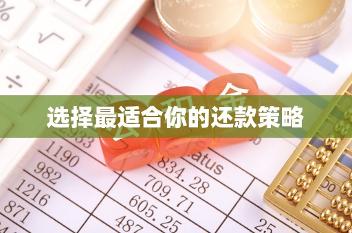 兰屿选择最适合你的还款策略